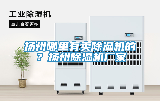揚州哪里有賣(mài)除濕機的？揚州除濕機廠(chǎng)家