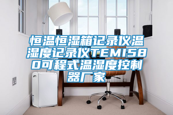 恒溫恒濕箱記錄儀溫濕度記錄儀TEMI580可程式溫濕度控制器廠(chǎng)家