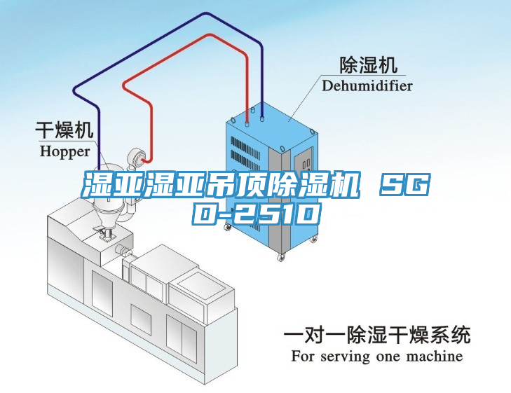 濕亞濕亞吊頂除濕機 SGD-251D