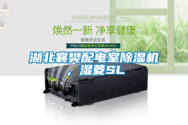 湖北襄樊配電室除濕機，濕菱SL