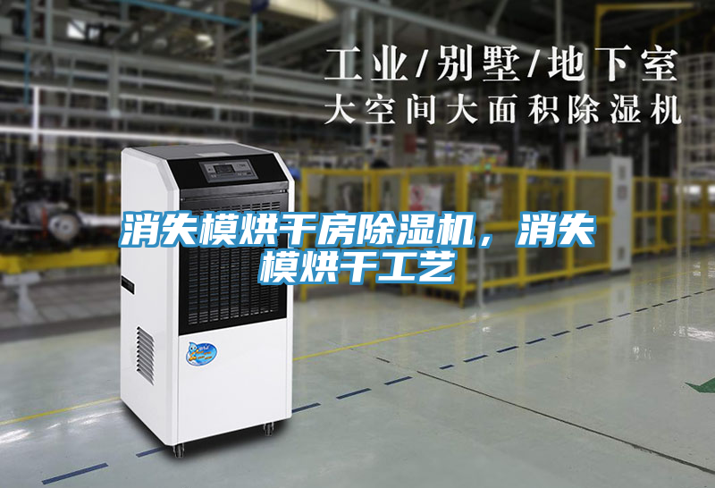 消失模烘干房除濕機，消失模烘干工藝