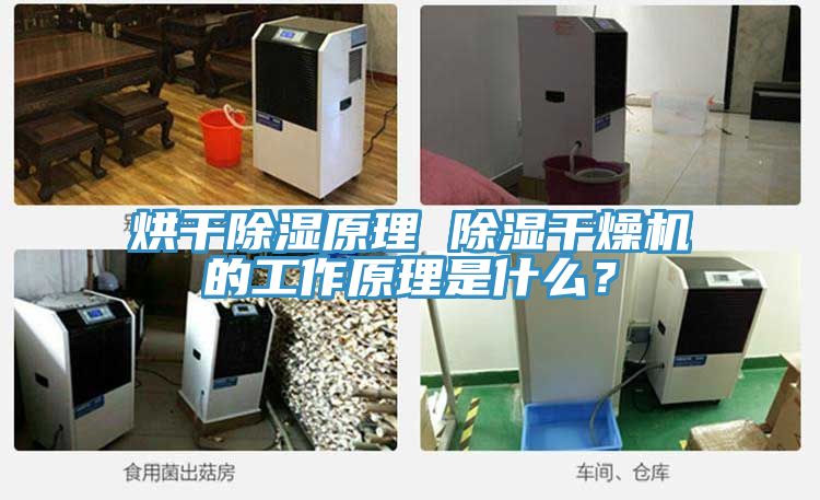 烘干除濕原理 除濕干燥機的工作原理是什么？