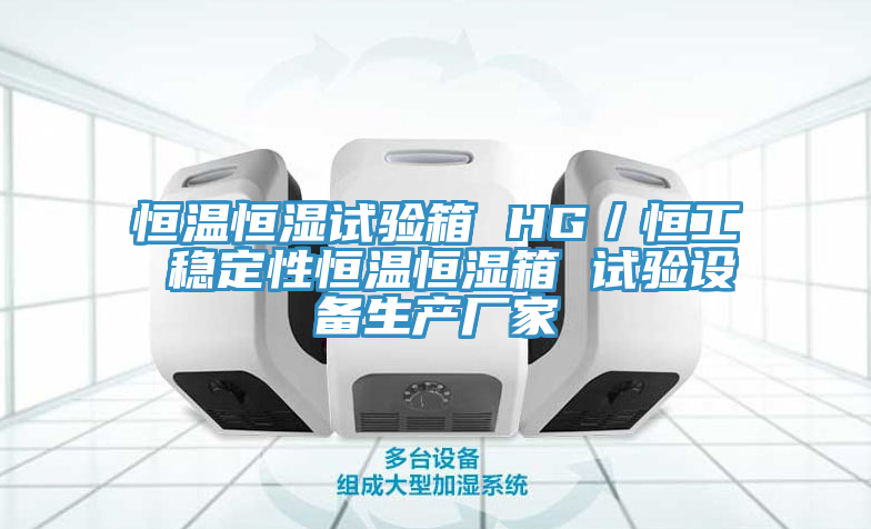 恒溫恒濕試驗箱 HG/恒工 穩定性恒溫恒濕箱 試驗設備生產(chǎn)廠(chǎng)家