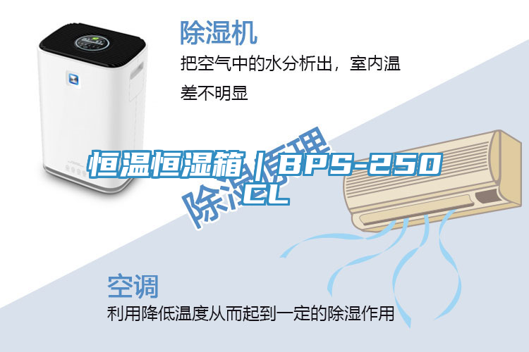 恒溫恒濕箱｜BPS-250CL