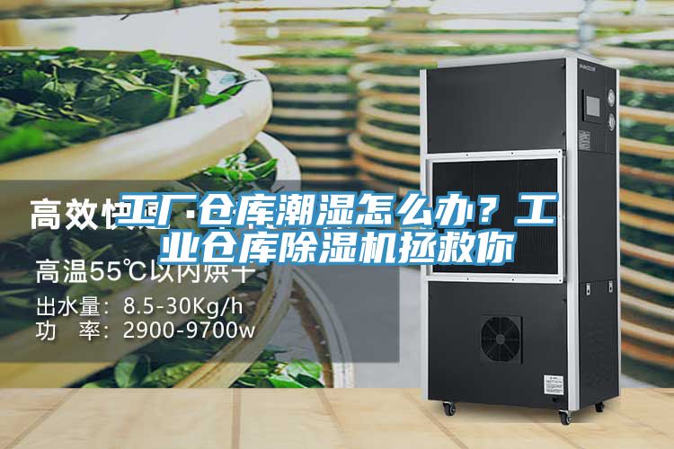工廠(chǎng)倉庫潮濕怎么辦？工業(yè)倉庫除濕機拯救你