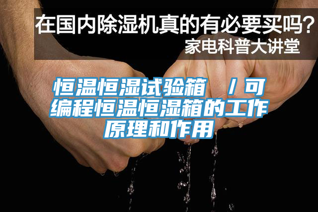 恒溫恒濕試驗箱 /可編程恒溫恒濕箱的工作原理和作用