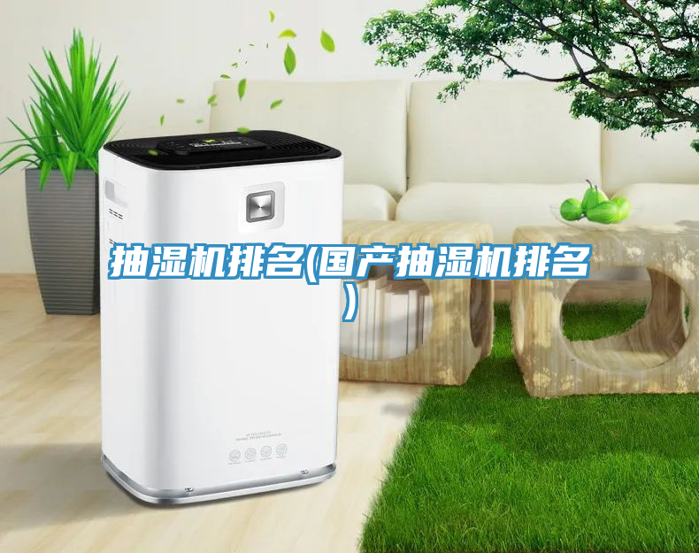 抽濕機排名(國產(chǎn)抽濕機排名)