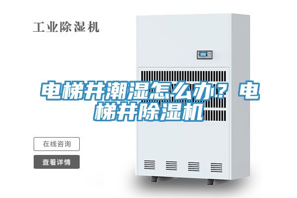 電梯井潮濕怎么辦？電梯井除濕機