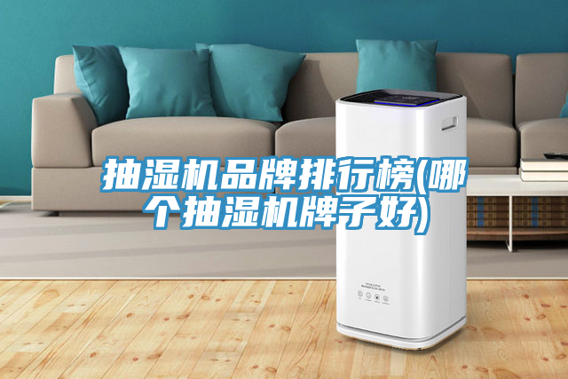 抽濕機品牌排行榜(哪個(gè)抽濕機牌子好)