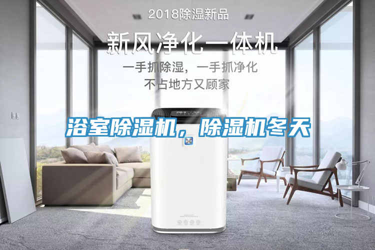 浴室除濕機，除濕機冬天