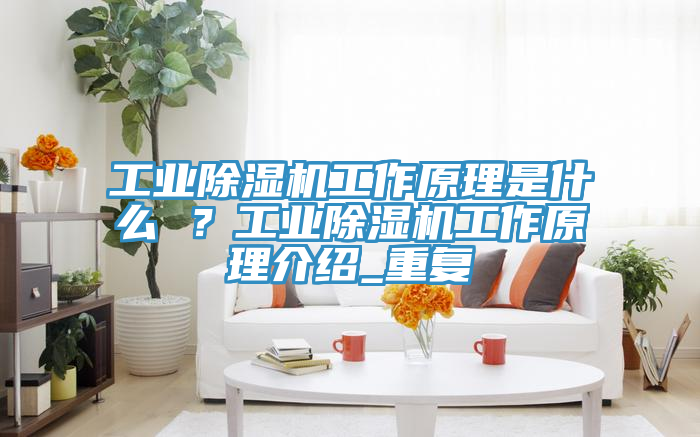工業(yè)除濕機工作原理是什么 ？工業(yè)除濕機工作原理介紹_重復