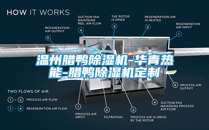 溫州臘鴨除濕機-華青熱能-臘鴨除濕機定制