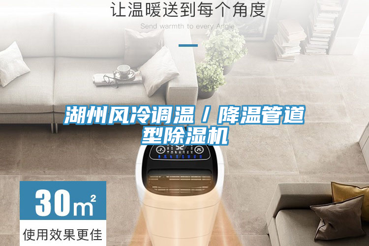 湖州風(fēng)冷調溫／降溫管道型除濕機
