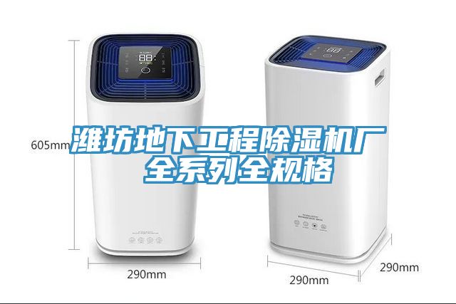 濰坊地下工程除濕機廠(chǎng) 全系列全規格