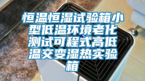 恒溫恒濕試驗箱小型低溫環(huán)境老化測試可程式高低溫交變濕熱實(shí)驗箱