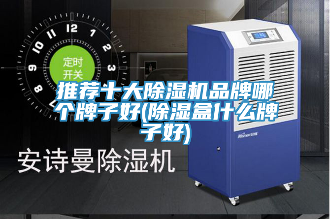 推薦十大除濕機品牌哪個(gè)牌子好(除濕盒什么牌子好)