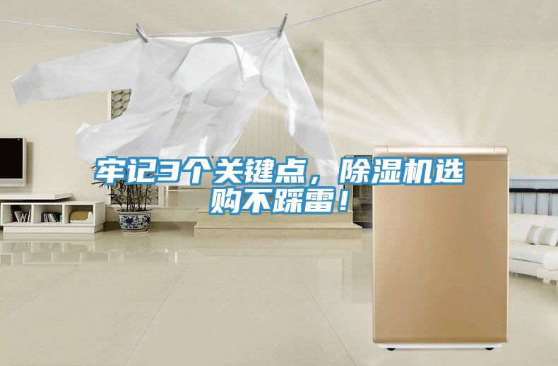 牢記3個(gè)關(guān)鍵點(diǎn)，除濕機選購不踩雷！