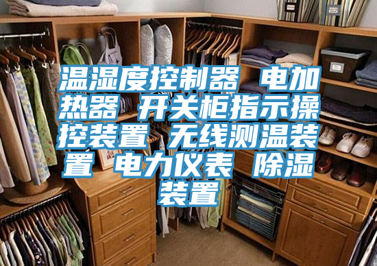 溫濕度控制器 電加熱器 開(kāi)關(guān)柜指示操控裝置 無(wú)線(xiàn)測溫裝置 電力儀表 除濕裝置