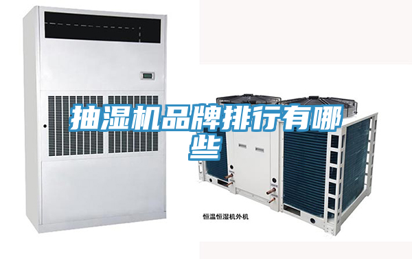 抽濕機品牌排行有哪些