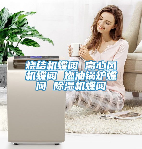 燒結機蝶閥 離心風(fēng)機蝶閥 燃油鍋爐蝶閥 除濕機蝶閥