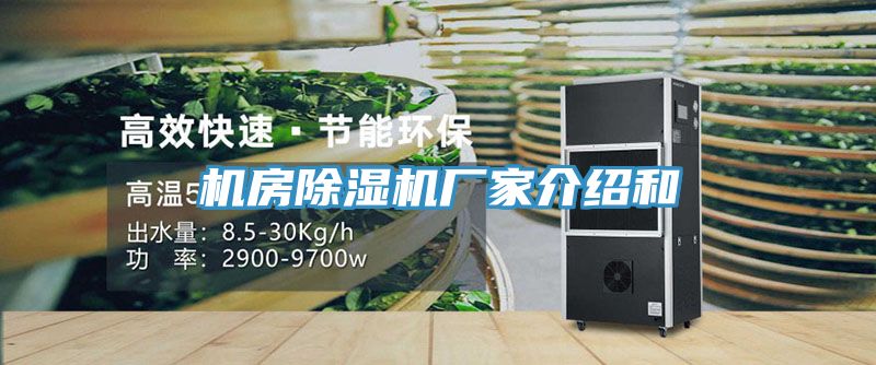 機房除濕機廠(chǎng)家介紹和