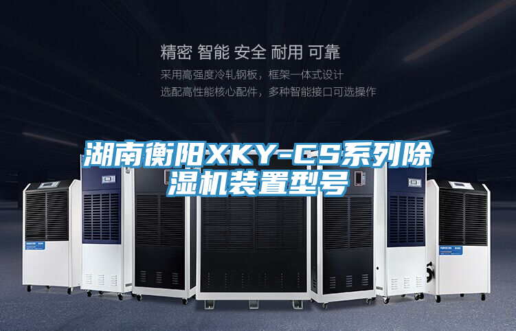湖南衡陽(yáng)XKY-CS系列除濕機裝置型號