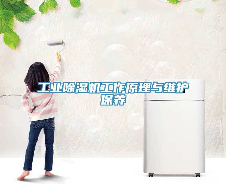 工業(yè)除濕機工作原理與維護保養