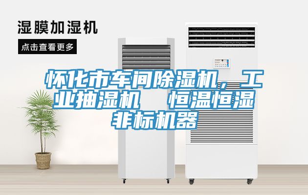 懷化市車(chē)間除濕機，工業(yè)抽濕機  恒溫恒濕非標機器