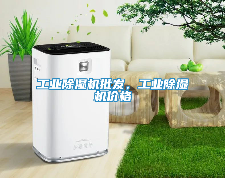 工業(yè)除濕機批發(fā)，工業(yè)除濕機價(jià)格
