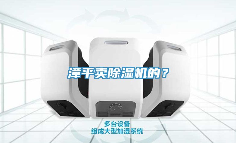 漳平賣(mài)除濕機的？