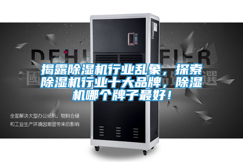 揭露除濕機行業(yè)亂象，探索除濕機行業(yè)十大品牌，除濕機哪個(gè)牌子最好！