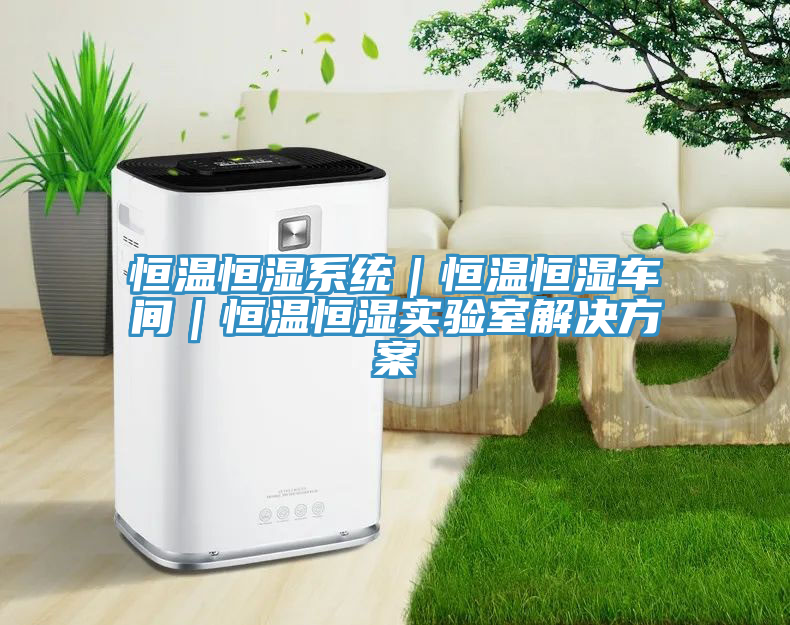 恒溫恒濕系統｜恒溫恒濕車(chē)間｜恒溫恒濕實(shí)驗室解決方案