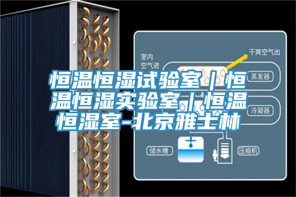 恒溫恒濕試驗室｜恒溫恒濕實(shí)驗室｜恒溫恒濕室-北京雅士林