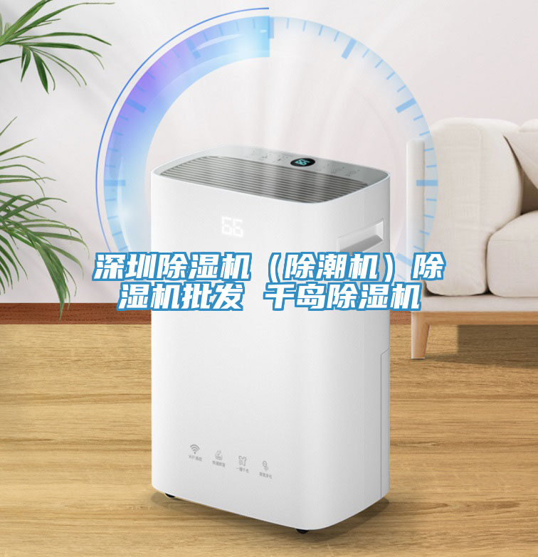 深圳除濕機（除潮機）除濕機批發(fā) 千島除濕機
