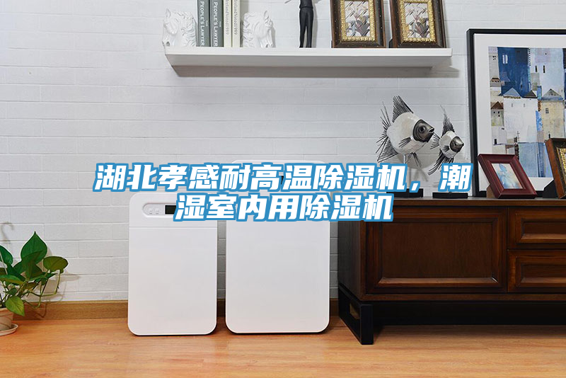 湖北孝感耐高溫除濕機，潮濕室內用除濕機