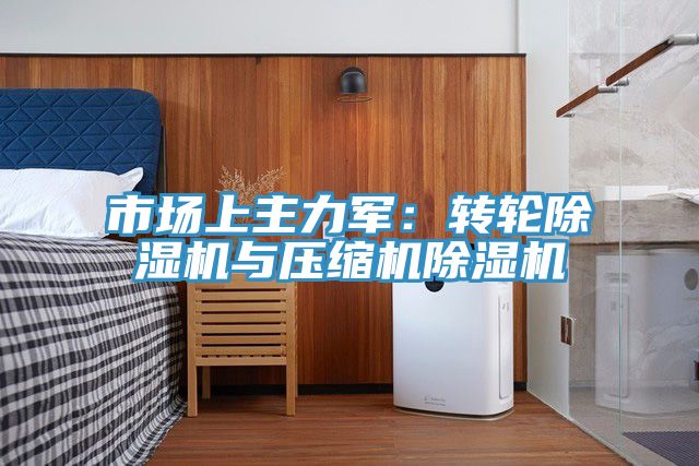 市場(chǎng)上主力軍：轉輪除濕機與壓縮機除濕機