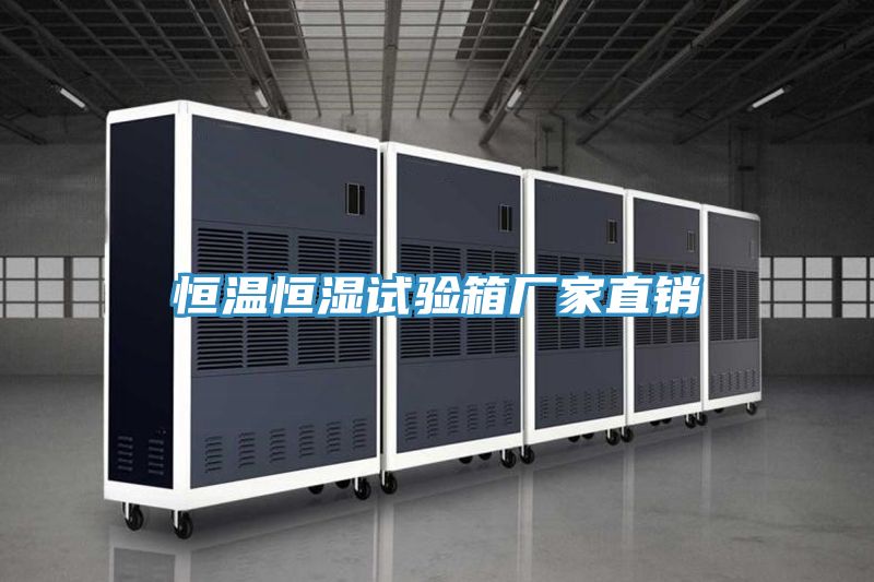 恒溫恒濕試驗箱廠(chǎng)家直銷(xiāo)