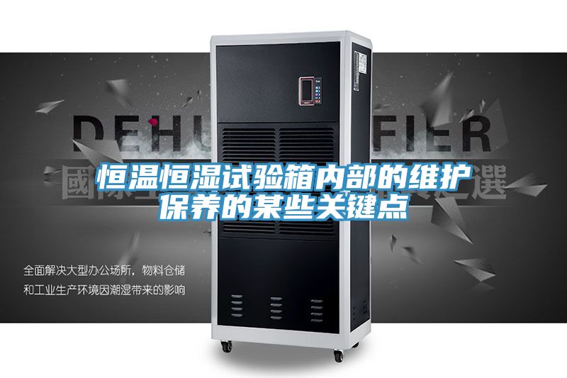 恒溫恒濕試驗箱內部的維護保養的某些關(guān)鍵點(diǎn)