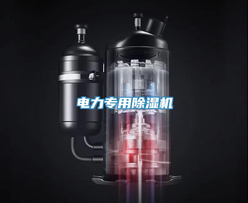 電力專(zhuān)用除濕機