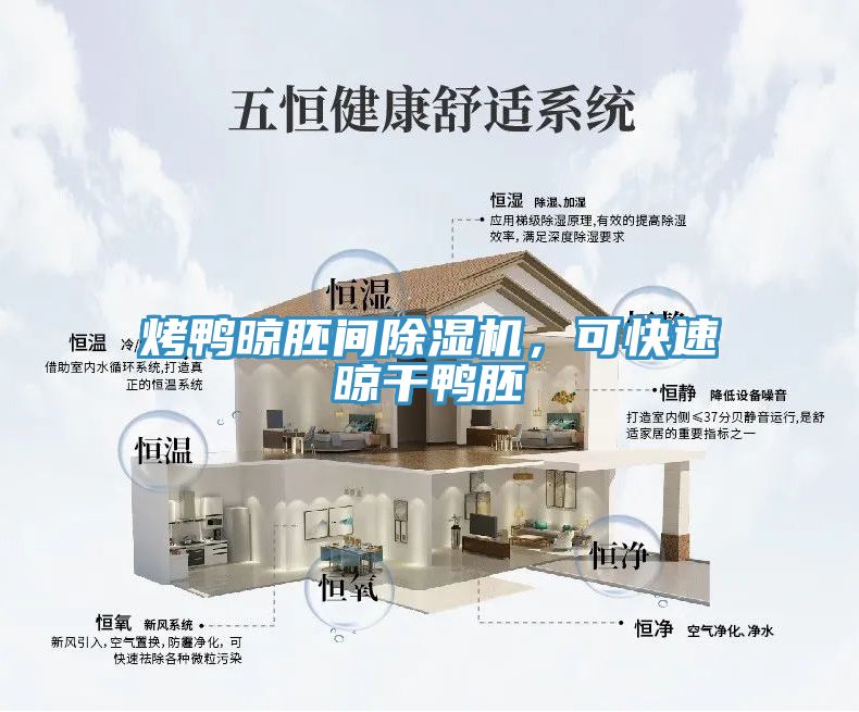 烤鴨晾胚間除濕機，可快速晾干鴨胚