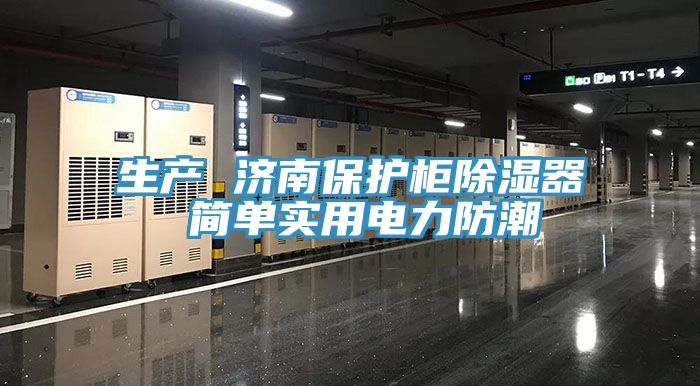 生產(chǎn) 濟南保護柜除濕器 簡(jiǎn)單實(shí)用電力防潮