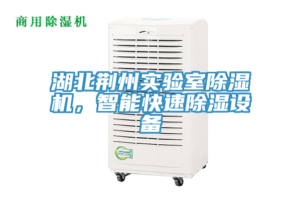 湖北荊州實(shí)驗室除濕機，智能快速除濕設備