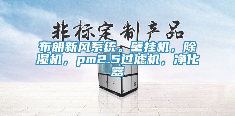 布朗新風(fēng)系統。壁掛機，除濕機，pm2.5過(guò)濾機，凈化器