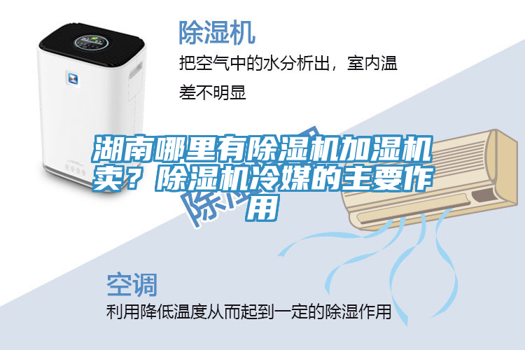 湖南哪里有除濕機加濕機賣(mài)？除濕機冷媒的主要作用