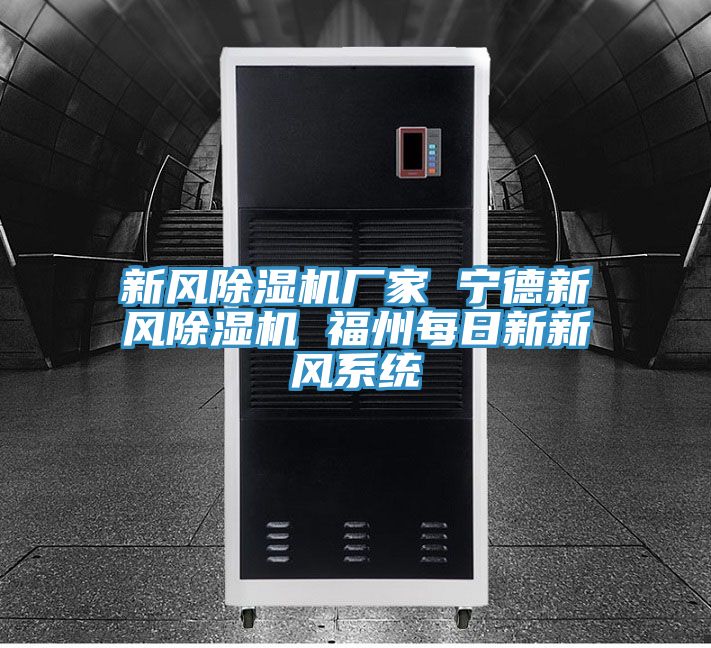 新風(fēng)除濕機廠(chǎng)家 寧德新風(fēng)除濕機 福州每日新新風(fēng)系統