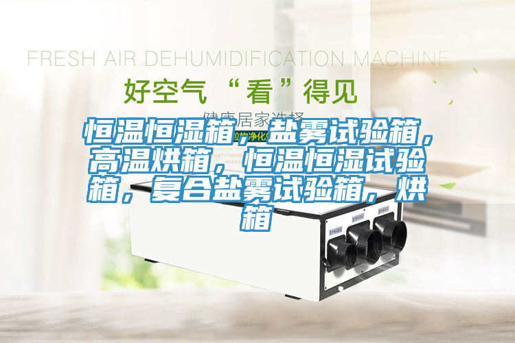 恒溫恒濕箱，鹽霧試驗箱，高溫烘箱，恒溫恒濕試驗箱，復合鹽霧試驗箱，烘箱