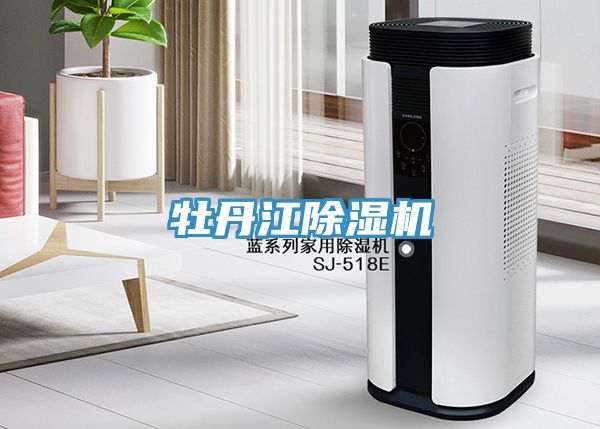 牡丹江除濕機