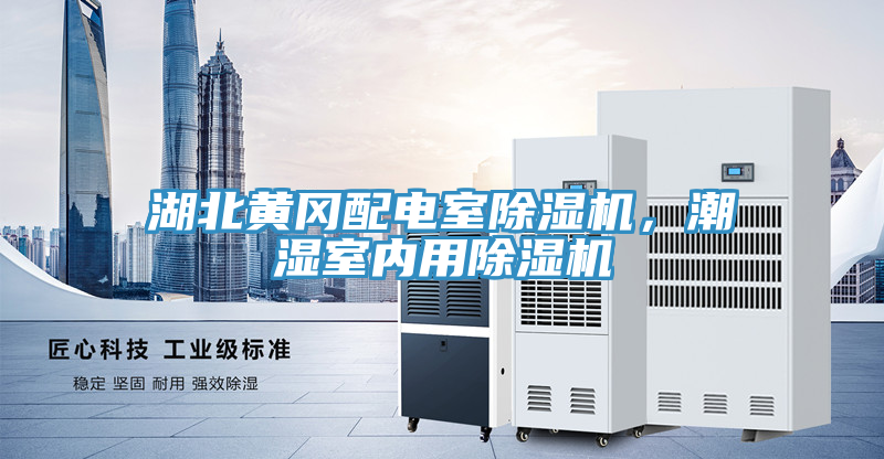 湖北黃岡配電室除濕機，潮濕室內用除濕機