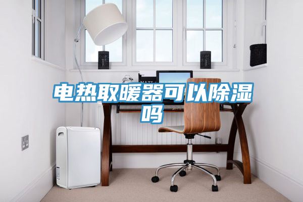 電熱取暖器可以除濕嗎