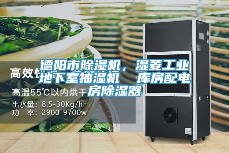 德陽(yáng)市除濕機，濕菱工業(yè)地下室抽濕機  庫房配電房除濕器